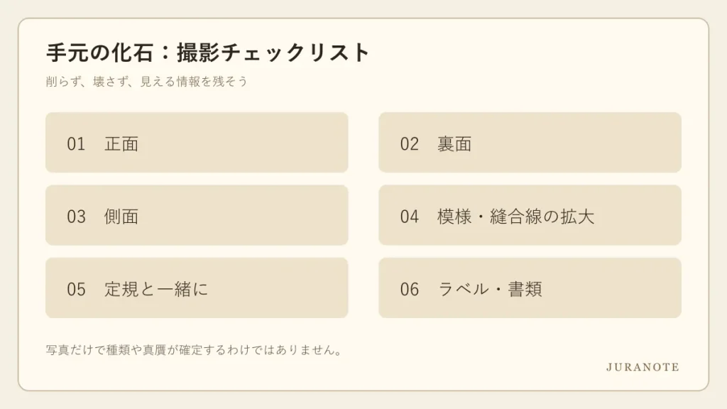 化石の正面、裏面、側面、細部、定規、ラベルを撮影するチェックリスト